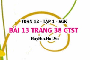 Bài 13 trang 38 Toán 12 tập 1 Chân trời sáng tạo